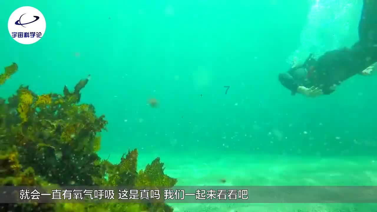 狂野的飙客
