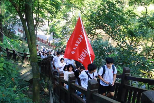 唤醒沉睡的大头